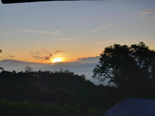 Hospedaje Coffee Mountain - image 3