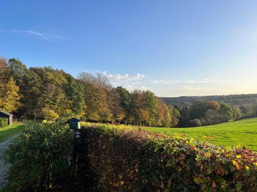 A l’orée du bois…