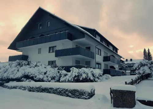 COZY FREEDOM Snow Bike Hike Enjoy 200MBit in Winterberg, Deutschland