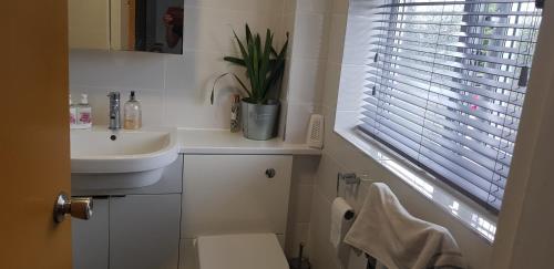 Homely Home in อายเลสบูรี่