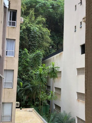 Apartment image 10