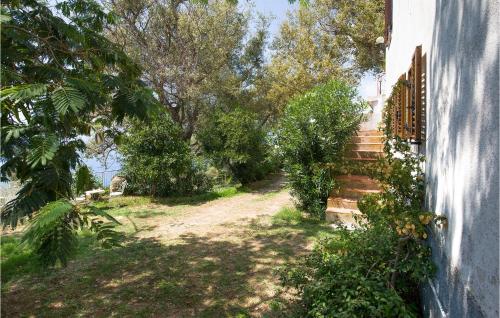 Beautiful Home In Cetraro With Kitchen - Cetraro