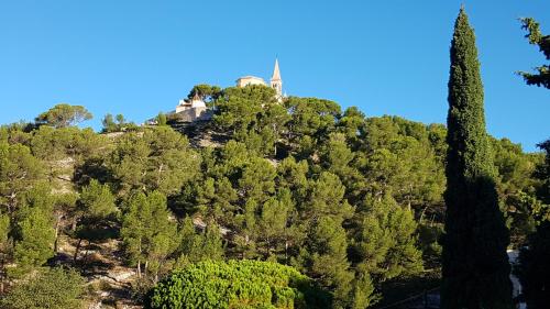 gite sous l'olivier - Location saisonnière - Marseille