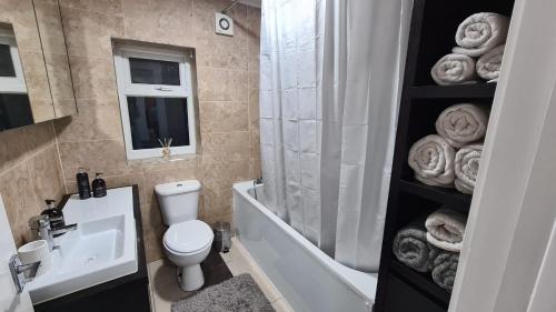 Luxury 1 bedroom flat in the heart of Wood Green, Londýn (fotografie 6)