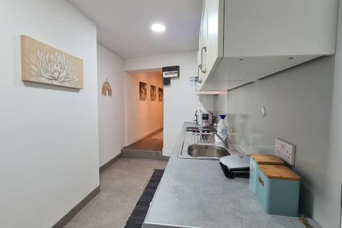 Luxury 1 bedroom flat in the heart of Wood Green, Londýn (fotografie 8)