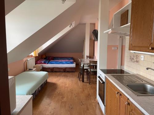 Apartments Ubytovani U Zemanu in Chrastany