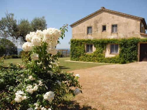  Holiday Home Bellavista by Interhome in Montoro