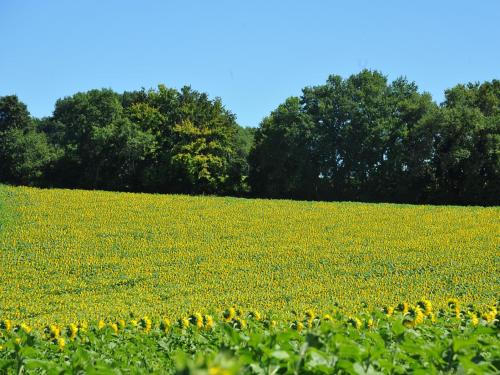 DOMAINE DE LABROUSSE, Maison d'hôtes en Périgord