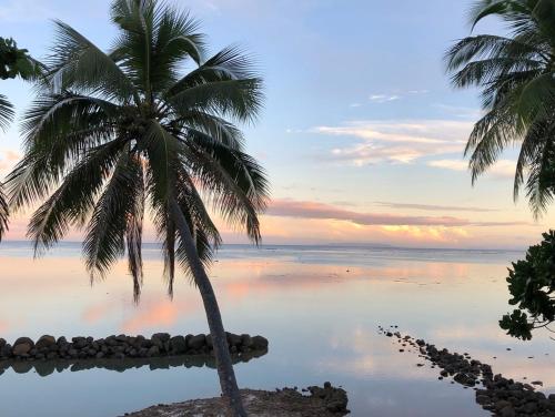 Island Breeze Fiji