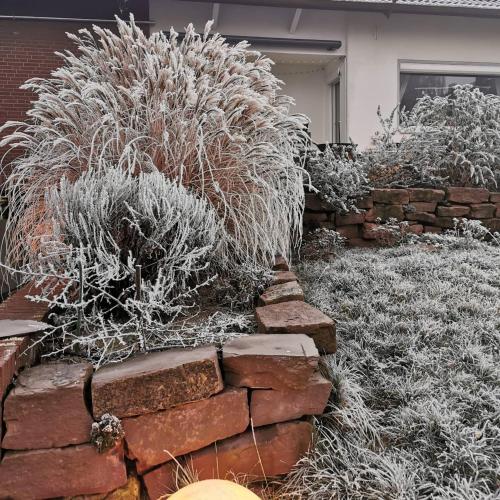 Deisterquartier, Ferienwohnung am Naherholungsgebiet in บาร์ซิงเฮาเซิน