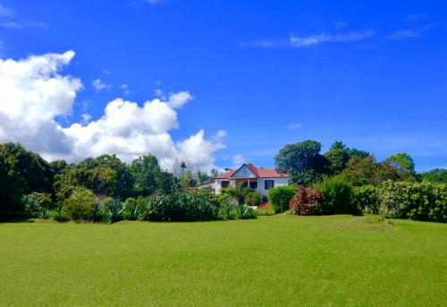 . The Litchi Tree Amber Mountain Boutique Hotel
