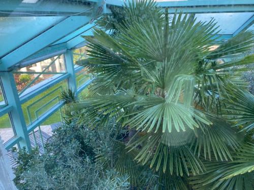 威斯曼维明图哥公寓酒店