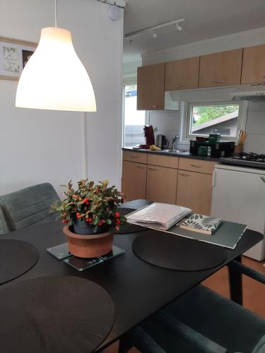 Chalet Esdoorn in Putten, Gezellig en Luxe gerenoveerd in Putten