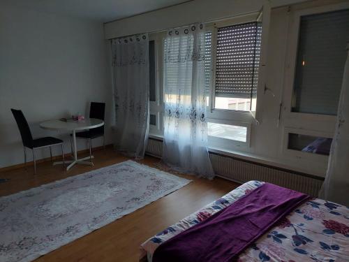  Kleine Apartment im Zentrum Bern in Bern