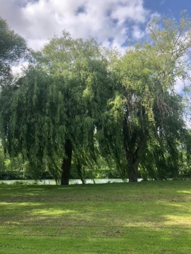 Le Prieuré de Bourg Charente