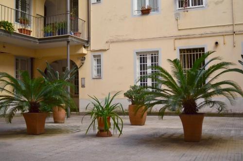 Minerva House - image 5