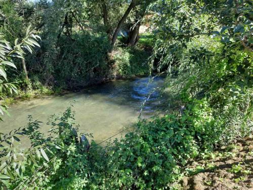 The Bosna River