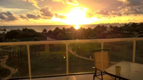 Swim the Caribbean & Work with a View, Cancún