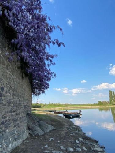 Maison ancienne rénovée Bord de loire Maison ancienne rénovée Bord de loire