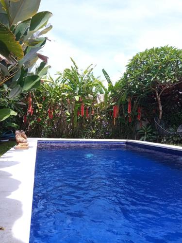 Canggu Villa 3 bedrooms (with kids bedroom), swimming pool and garden