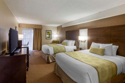2 queen beds