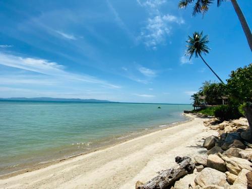 Absolute Beachfront Resort