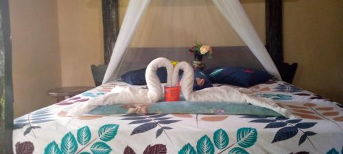 Sumatra Cheeky Monkeys