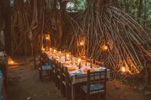 Chole Mjini Treehouses Lodge photo 4