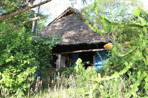 Chole Mjini Treehouses Lodge