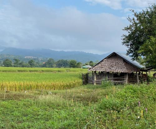 Pura Vida Pai Resort