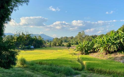 Pura Vida Pai Resort