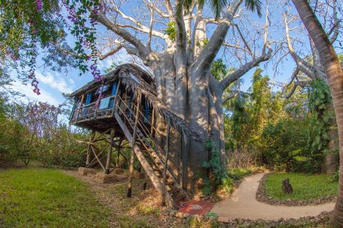 Chole Mjini Treehouses Lodge