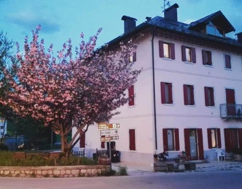  Casa Ciccarelli in Domegge di Cadore