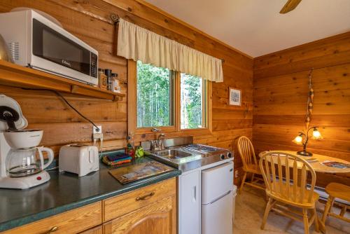 virtuve, Mica Mountain Lodge & Log Cabins in Tête Jaune Cache (BC)