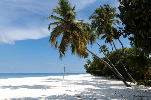 شاطئ, Manta Reserve in با أتول