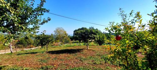 Country Home Genesi 20 min from Trikala