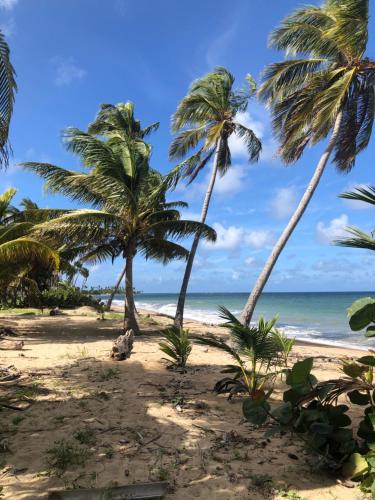 Omgeving, Lucky Luquillo Solar El Yunque & Beach Retreat - 360 Ocean & Rainforest Views in Luquillo