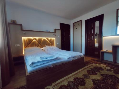 Vila Platon in Agapia