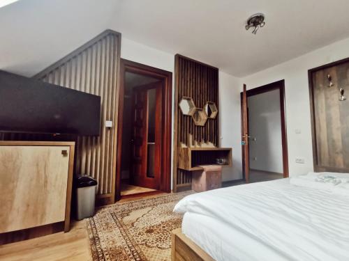 Vila Platon in Agapia