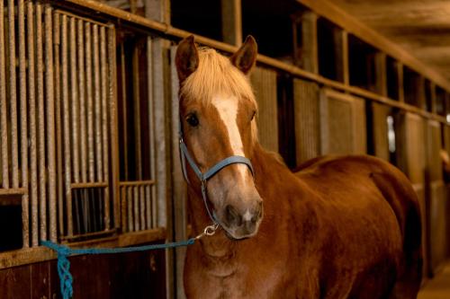 Hotel Freund - image 3