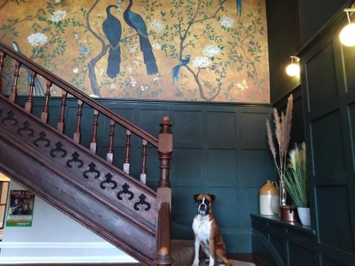 ทัศนียภาพภายนอกโรงแรม, โรงแรมเดอะ ฮิลมอร์ตัน แมเนอร์ (The Hillmorton Manor Hotel) in ฮิลมอร์ตัน