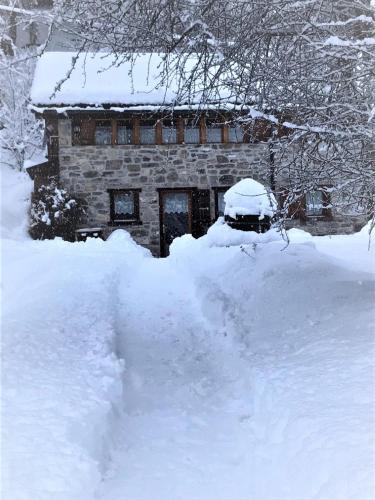 A l'orée du bisse in Anzère, Schweiz