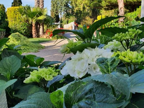 Arenosu Comfort Country Guesthouse