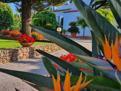Arenosu Comfort Country Guesthouse