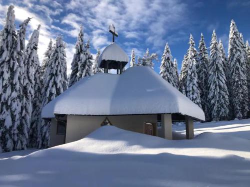 Chalet Trzinka - Triglav National Park