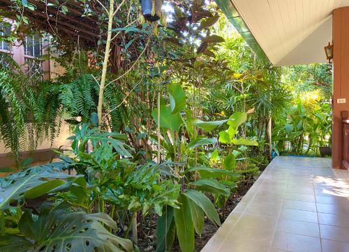 Mom and Me Resort & Farm – Chiang Mai, IA
