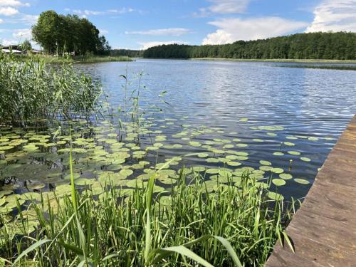 Cisy Resort II-idealny dla gości ze zwierzętami,ogrodzony teren na wyłączność,150 m od jeziora