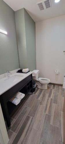 Alamo Inn & Suites Downtown - image 10