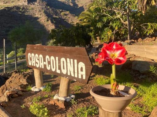 Casa Colonia - Tasarte