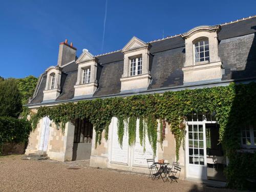 EN COMPAGNIE DES ÉCUREUILS